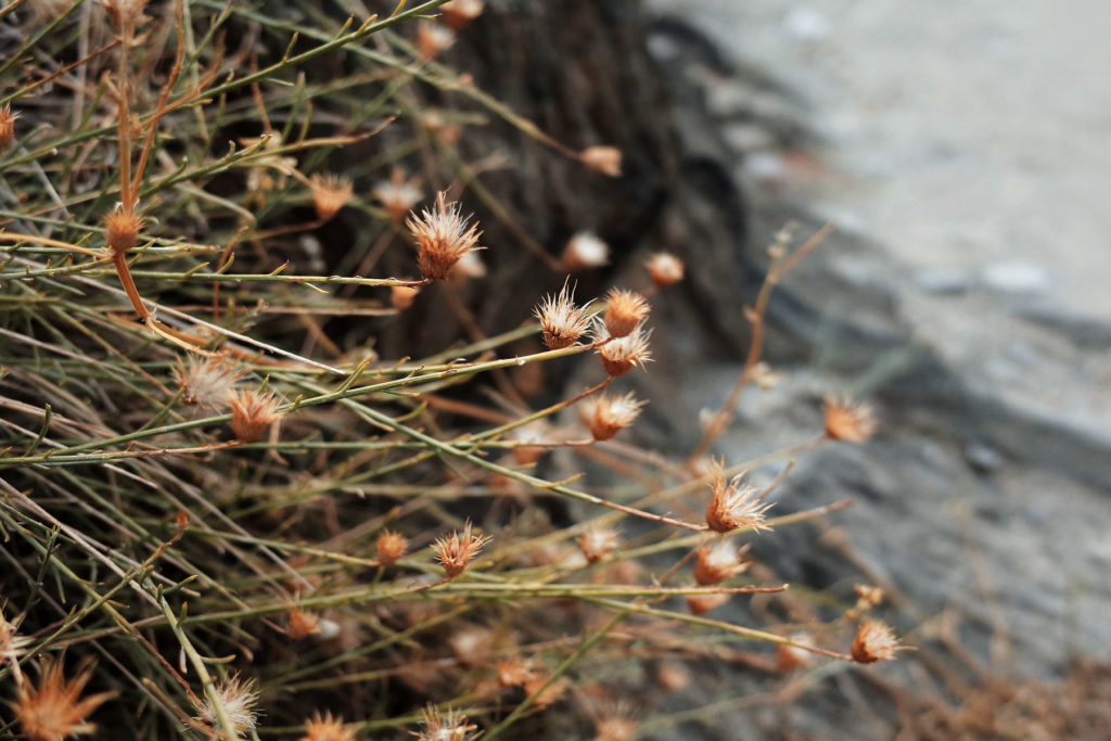 pakistan backpacking