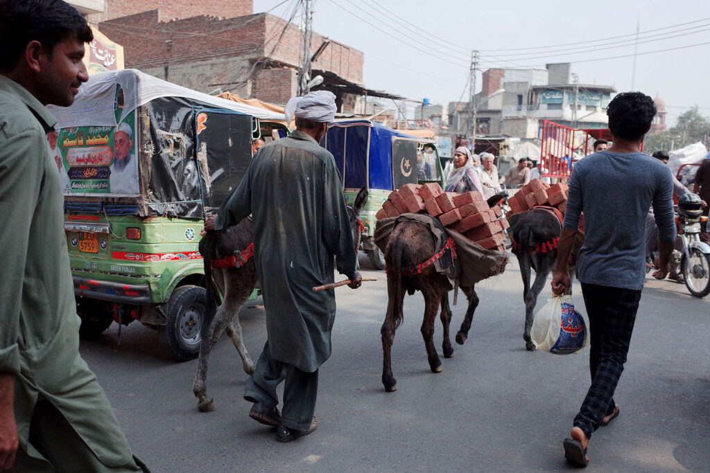 lahore donkey transport