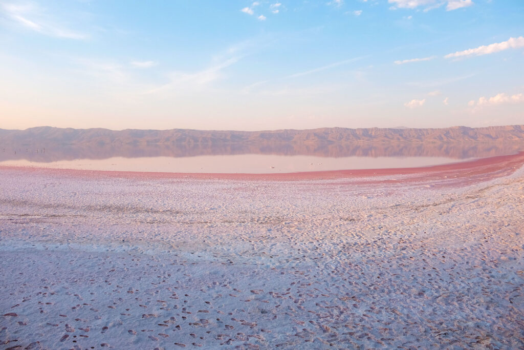 shiraz pink lake shoreline