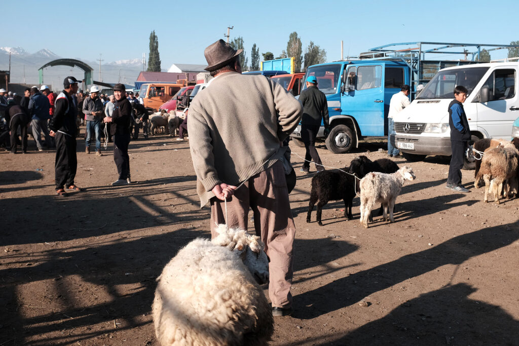 karakol animal market