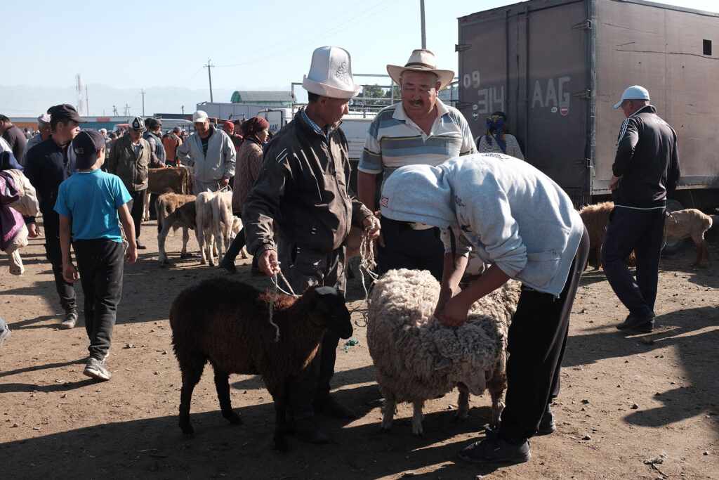 karakol livestock bazaar