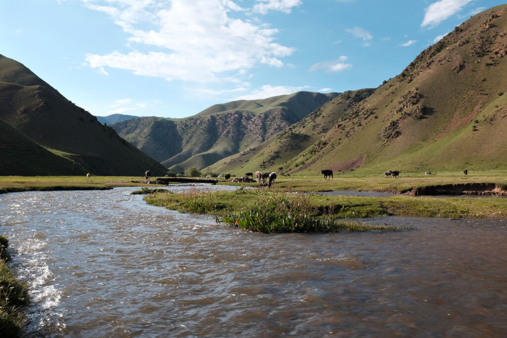 mountain creek