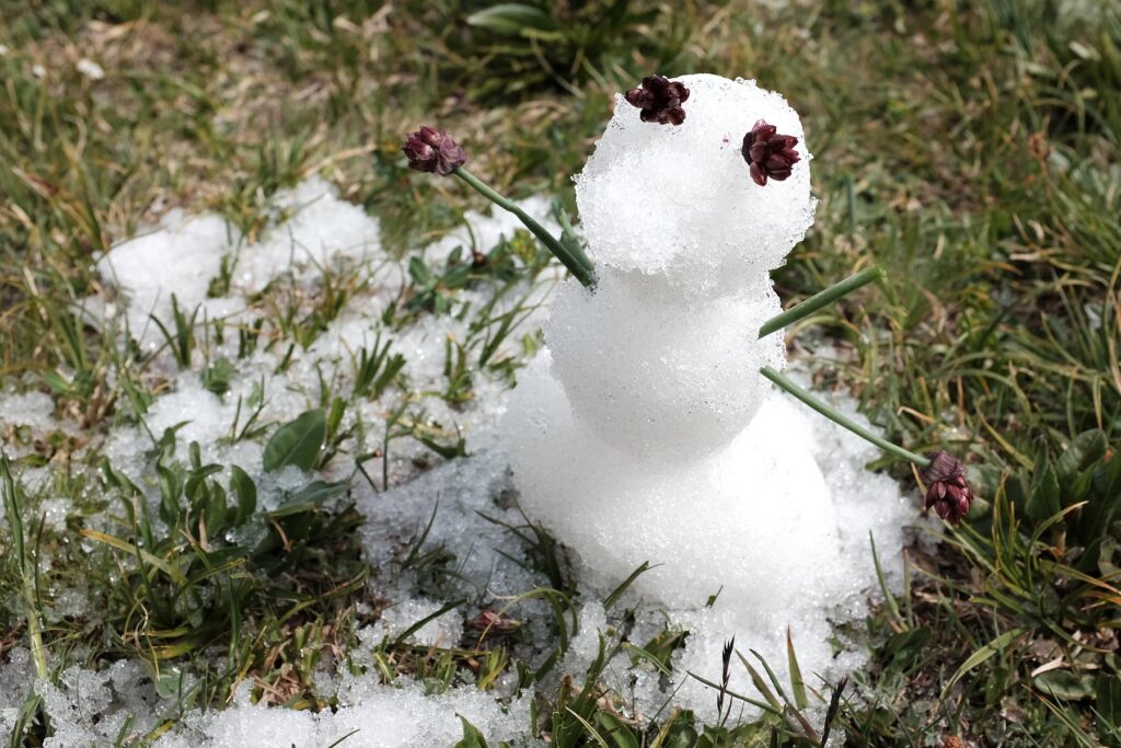 snowman