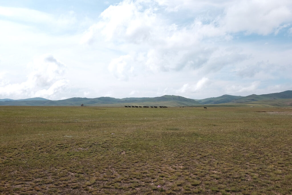 song-kul running horses