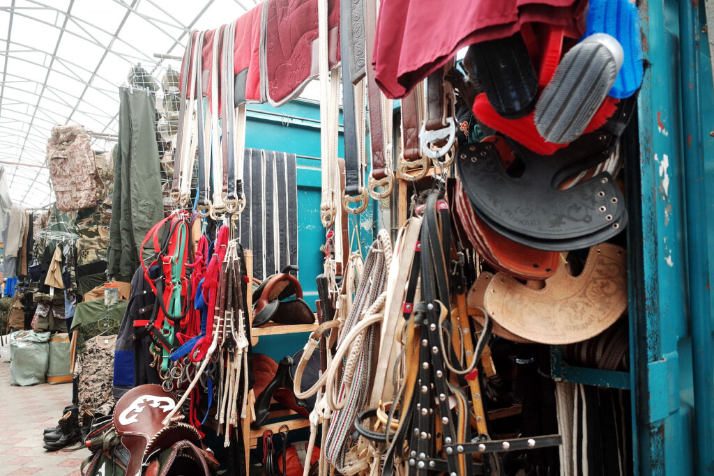 equestrian gear