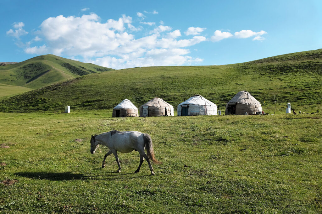 grassland